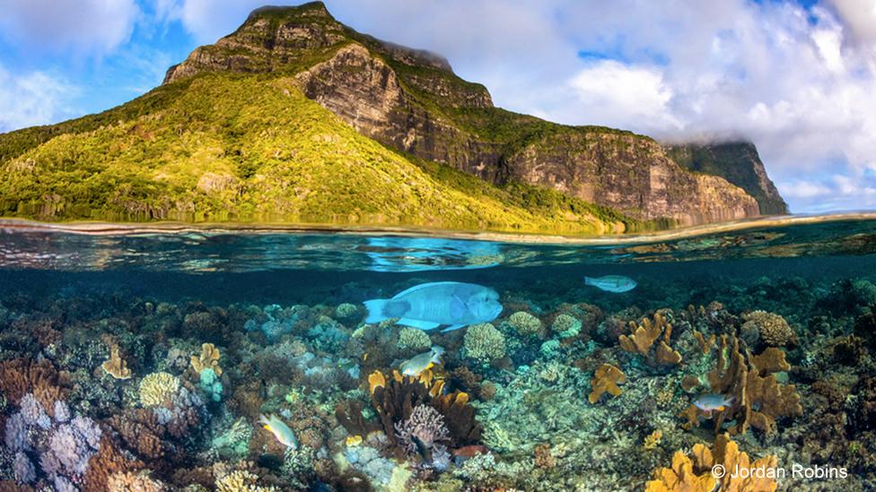 Australian Geographic Nature Photographer of the Year 2020 | Western